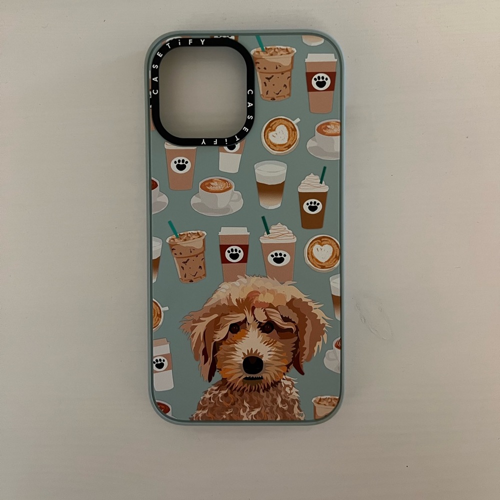 Casetify iPhone 13 Pro Max Case